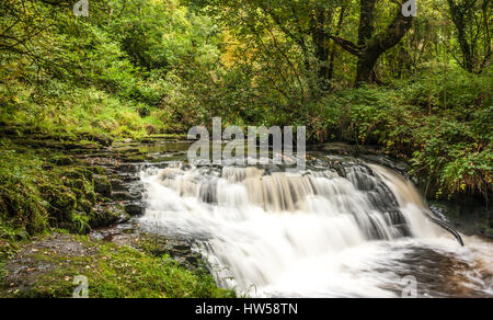 Clare Glenns Irland Stockfoto