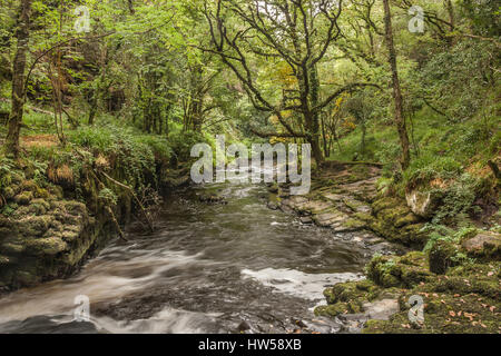 Clare Glenns Irland Stockfoto