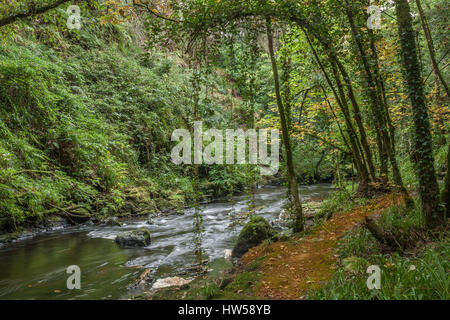 Clare Glenns Irland Stockfoto