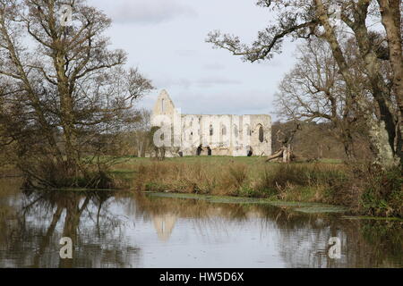 Ein Blick über den Fluss Wey zu den Ruinen der Newark Priory nahe Ripley, Surrey Stockfoto