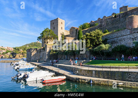 Das Château Royal mit Blick auf den kleinen Hafen von Collioure, Côte Vermeille, Frankreich Stockfoto