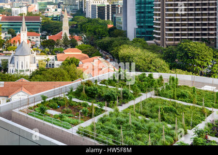 Dachgarten auf der Raffles City Shopping Centre, Singapur Stockfoto