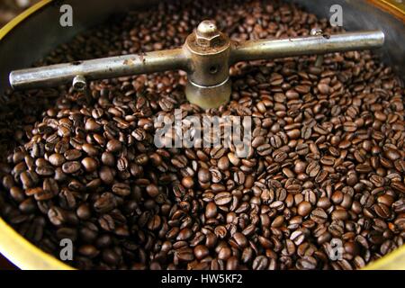 Nahaufnahme von gerösteten Kaffeebohnen nach dem Rösten in einem Trommelröster Typ Kaffee 1/2 Stockfoto