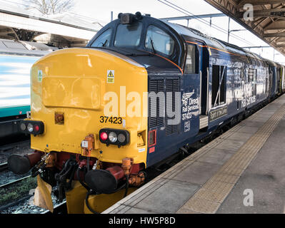 Direct Rail Services Klasse 37 37423 "Geist der Seen" auf der Norwich, Lowestoft März 2017 service. Stockfoto