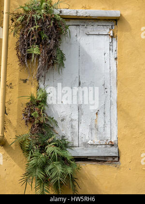 Altes Gebäude mit Holz Fensterläden geschlossen auf ein Fenster in St. Thomas US Virgin Islands Stockfoto