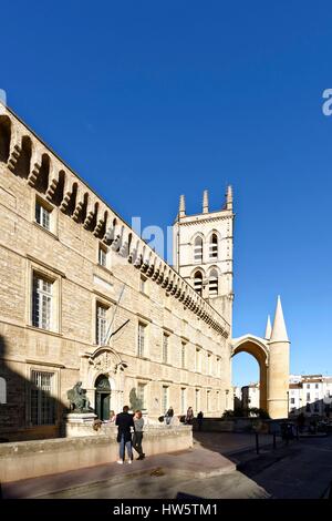 Frankreich, Herault, Montpellier, historisches Zentrum, Stadtteil Ecusson, die medizinische Fakultät und die Saint-Pierre-Kathedrale aus dem 16. Jahrhundert Stockfoto