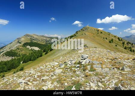 Frankreich, Alpes de Haute Provence, Seyne, Wandern auf dem GR6 zwischen Pico und Pico Savernes Bernardez Stockfoto