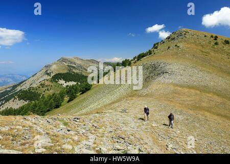 Frankreich, Alpes de Haute Provence, Seyne, Wandern auf dem GR6 zwischen Pico und Pico Savernes Bernardez Stockfoto