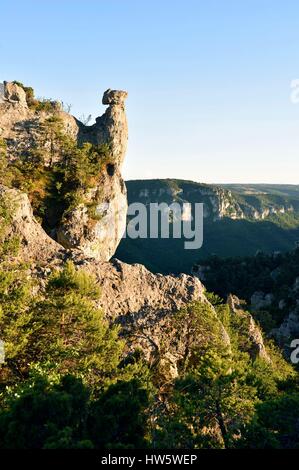 Frankreich, Aveyron, der Causses und der Cevennen, mediterranen Agro pastorale Kulturlandschaft, als Weltkulturerbe von der UNESCO, Cevennen National Park (Parc National des Cevennes), La Roque Sainte Marguerite, chaos Montpellier le Vieux, auf der Causse Noir Stockfoto