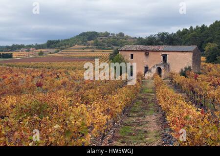 Herbstlandschaft im Luberon, Frankreich, Vaucluse (84) Stockfoto