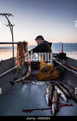 Schweiz, Kanton Waadt, Morges, Manu Torrent, Berufsfischer, Tolochenaz, Eröffnungstag der Hechtangeln am Genfer See Stockfoto