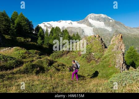 Frankreich, Savoyen, Tarentaise, Wanderer vor 3779 m Mont Pourri Stockfoto