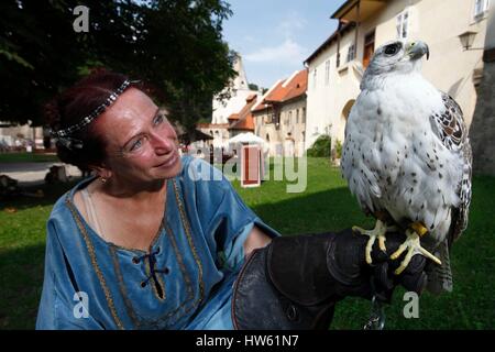 Tschechische Republik, Mittelböhmen, Krivoklat, Vogel-Show im Schloss, erbaut im 13. Jahrhundert Stockfoto