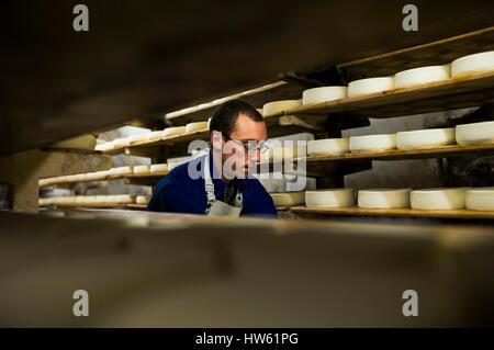 Frankreich, Savoyen, Plancherine, Bauges Bergkette, Zisterzienser Kloster Notre Dame de Tamie, Reifung von Käse Stockfoto