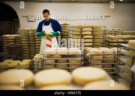 Frankreich, Savoyen, Plancherine, Bauges Bergkette, Zisterzienser Kloster Notre Dame de Tamie, Reifung von Käse Stockfoto