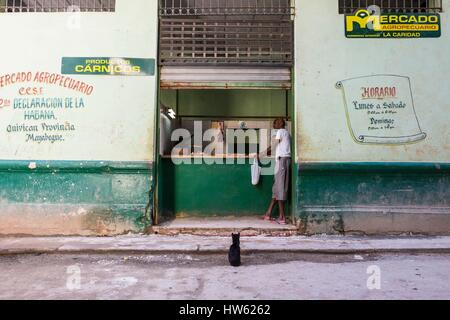 Kuba, Havanna, La Habana Vieja Bezirk Weltkulturerbe der UNESCO, Katze wartet in einer Metzgerei Stockfoto