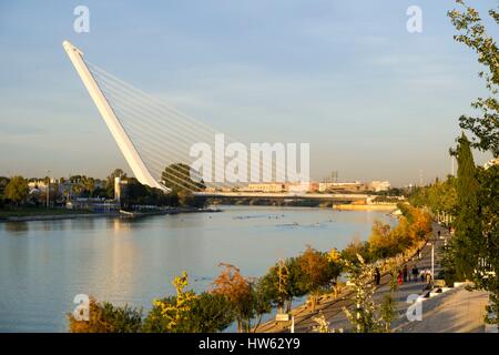 Spanien Andalusien Sevilla Becken des Guadalquivir und die Alamillo-Brücke vom Architekten Santiago Calatrava für erbaut die Stockfoto