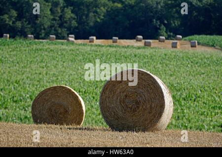 Frankreich, Doubs, Brognard, Strohballen und Kulturen aber am Set von Brognard Stockfoto