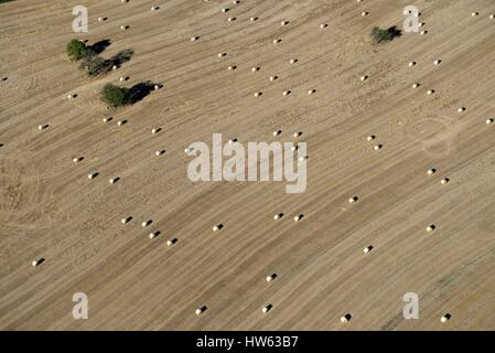 Frankreich, Doubs, Brognard, Strohballen auf Brognard Tablett (Luftbild) Stockfoto