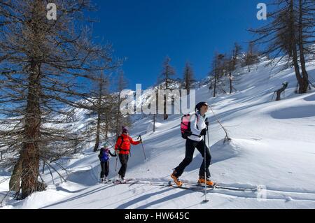 Italien, Piemont, Val Pellice, Gruppe von Backcountry Skifahrer Höhe in Richtung Col 2567 m Manzol Stockfoto