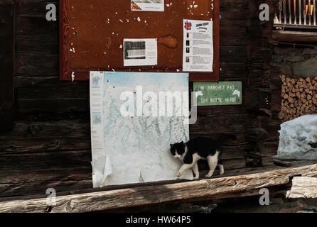 Schweiz, Wallis, Eringer-Tal, Evolène, La Forclaz Weiler Stockfoto