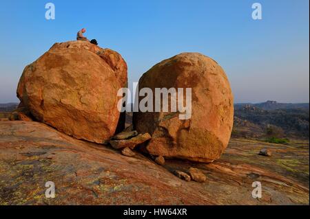 Simbabwe, Matabeleland South Province, matobo oder matopos Hills National Park, ein UNESCO Weltkulturerbe, Felsbrocken auf Malindidzimu Hill (Haus des Geschäfts- oder Firmenwertes Spirituosen) auf dem Gipfel der Welt, wo die Cecil Rhodes begraben ist Stockfoto