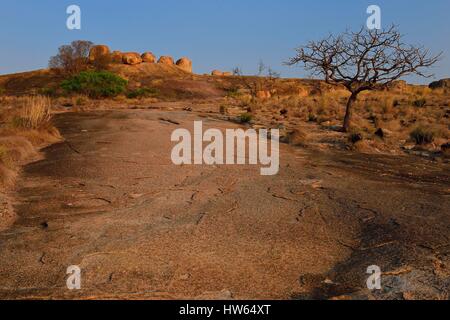 Simbabwe, Matabeleland South Province, matobo oder matopos Hills National Park, ein UNESCO Weltkulturerbe, Felsbrocken auf Malindidzimu Hill (Haus des Geschäfts- oder Firmenwertes Spirituosen) auf dem Gipfel der Welt, wo die Cecil Rhodes begraben ist Stockfoto