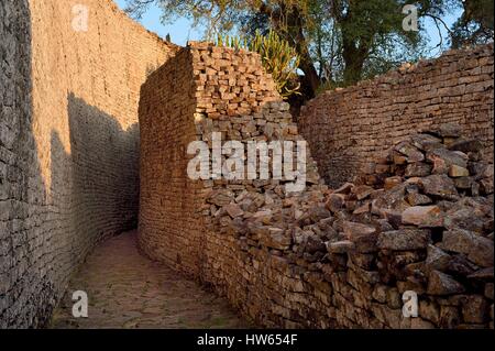 Simbabwe, Masvingo Province, die Ruinen der archäologischen Stätte von Great Zimbabwe, UNESCO-Weltkulturerbe, 10.-15. Jahrhunderts, das große Gehäuse Stockfoto