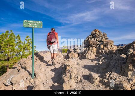 Spanien, Kanarische Inseln, La Palma als Biosphärenreservat von der UNESCO, die Caldera de Taburiente National Park, wandern nach Pico Bejenado (alt: 1854 m) Stockfoto