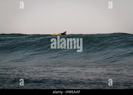 Eine Surfer paddeln über einen großen Ozeanwelle auf der North Shore von Oahu Hawaii Stockfoto