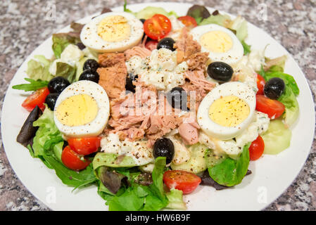 Salat Nicoise mit Thunfisch Oliven Ei Kartoffel Tomaten und frischem Salat Stockfoto