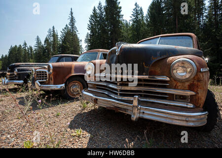 Oldtimer, Plymouth, Schrott Autos, in der Nähe von Spokane, Washington, USA Stockfoto