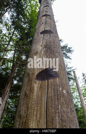 Totem der alten Inuit in Alaska Stockfoto