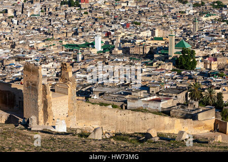 Fes, Marokko.  Altstadt (Fes El-Bali), Kairaouine-Moschee (im Zentrum, mit weißen Minarett), Zawiya von Moulay Idris (rechts, mit gefliesten Minarett).  Rema Stockfoto