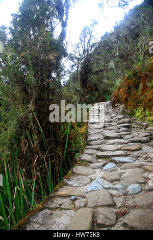 Landschaft entlang des Inka-Trail in Peru Stockfoto