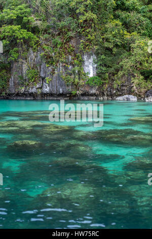 Das kristallklare Wasser von einer tropischen Insel der Lagune zeigt die Felsen und Pflanzenleben unten mit einem Klippe Gesicht Hintergrund in Bäumen und Pflanzen bedeckt. Stockfoto