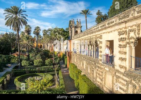 Spanien, Andalusien, Sevilla, Santa Cruz Viertel, Real Alcazar, Weltkulturerbe der UNESCO, die Gärten und die Galerie der Groteske Stockfoto