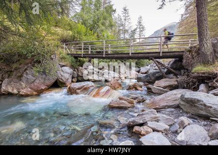 Frankreich, Hautes Alpes, Parc Naturel Regional du Queyras (regionale Naturpark Queyras), Molines-en-Queyras, Brücke über den Torrent Guil im Naturschutzgebiet der Aiguilles Mont-Viso Stockfoto