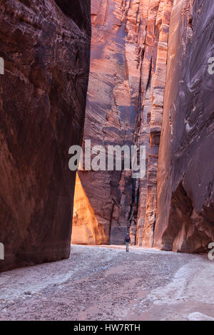 Wandern durch Buckskin Gulch, Paria Wilderness, Utah. Stockfoto