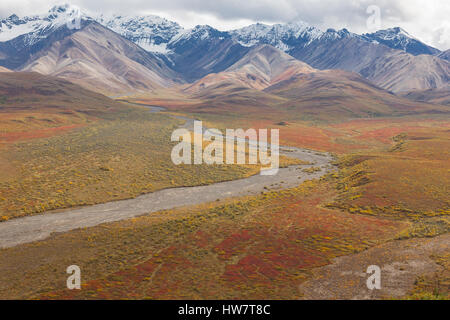 Herbst-Blick vom Polychrome Pass, Denali-Nationalpark, Alaska. Stockfoto