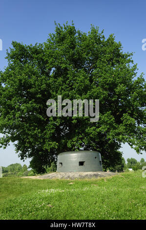 1934, 1934-1944, 1944, Arc, Architektur, Bogen, Grenze, erstellt, Tod, Osteuropa, Europa, festungsfront, ffowb, Befestigungsanlagen, Werk Daimler Benz Stockfoto