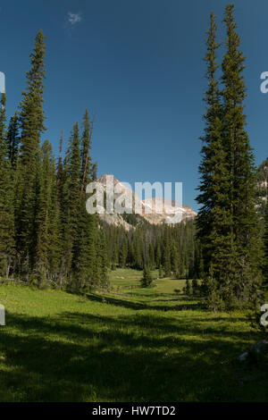 Reißverschluss Creek in der beartooth Wilderness, Montana. Stockfoto