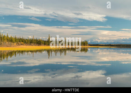 Reflexion im Totmann See, Tetlin National Wildlife Refuge in Alaska. Stockfoto