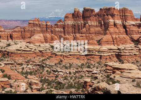 Bergen und Felsformationen im Stadtteil Nadeln des Canyonlands National Park, UT. Stockfoto