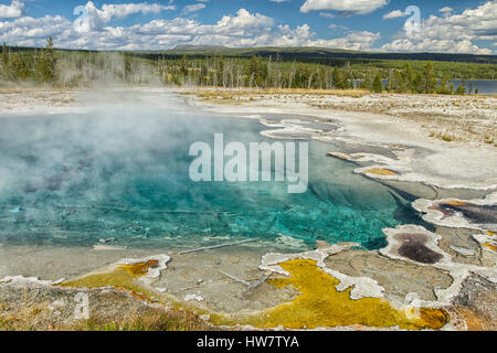 Elch-Skelett in Kolumbien Feder am Herzen Seebecken Geysir, Yellowstone-Nationalpark, Wyoming. Stockfoto