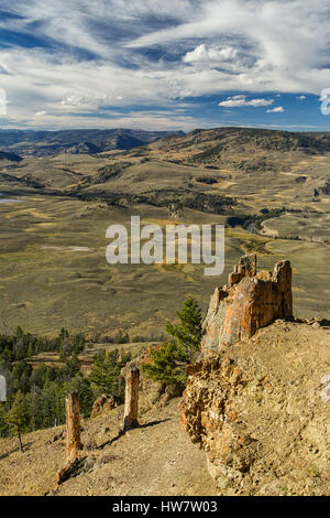 Versteinerte Bäume im Yellowstone-Nationalpark, Wyoming. Stockfoto