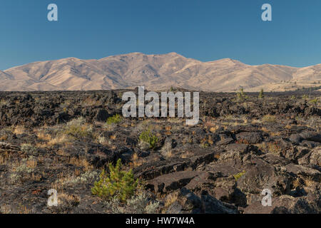 Alten Lavastrom im Krater des Moon National Monument, Idaho. Stockfoto