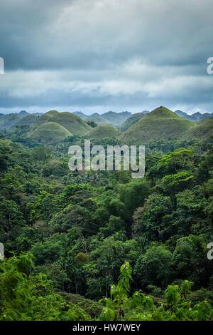 Beeindruckende und berühmte Schokolade Berge der Insel Bohol, Philippinen. Stockfoto