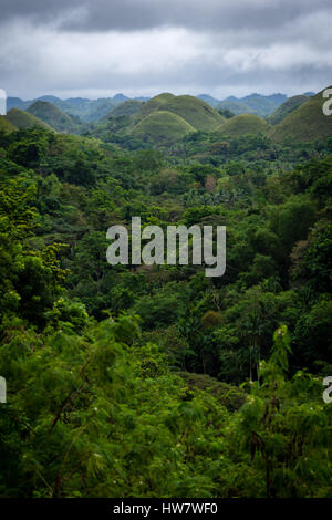 Beeindruckende und berühmte Schokolade Berge der Insel Bohol, Philippinen. Stockfoto