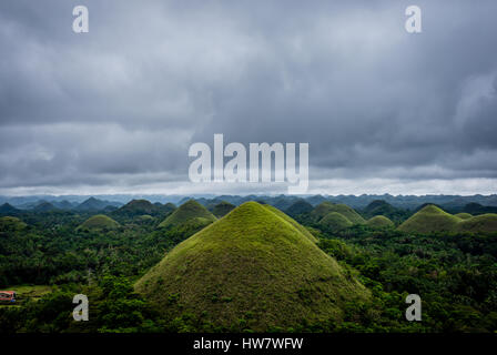 Beeindruckende und berühmte Schokolade Berge der Insel Bohol, Philippinen. Stockfoto